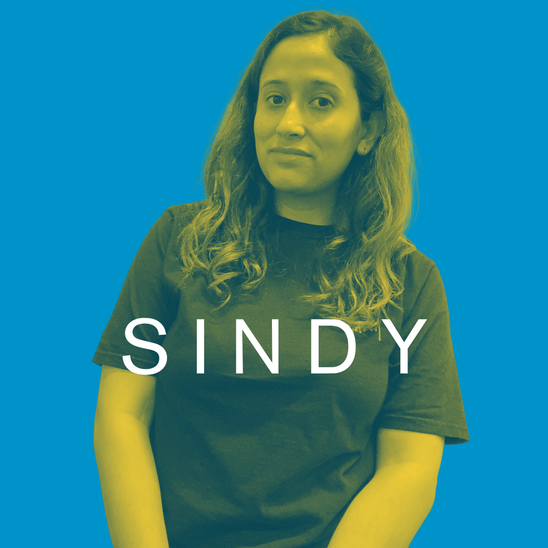 sindy 2020